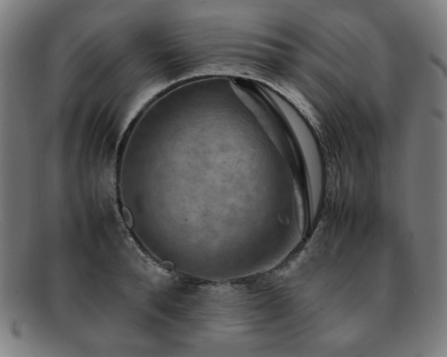 X0000092050896200709121210