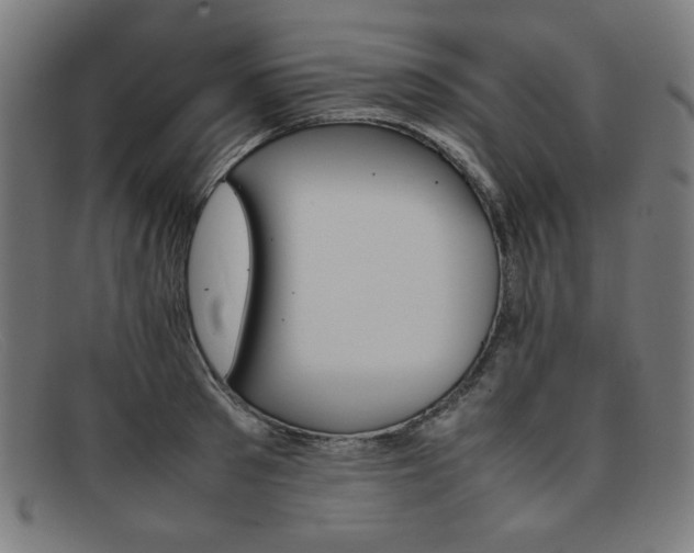 X0000092050897200709121210