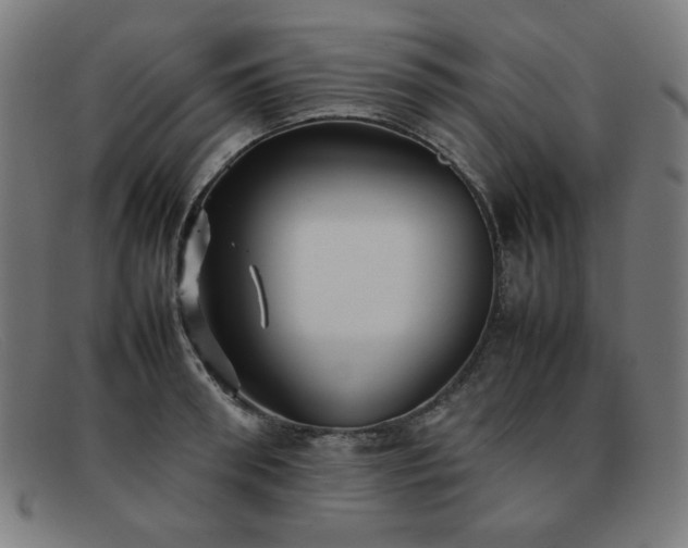 X0000092050898200709121210