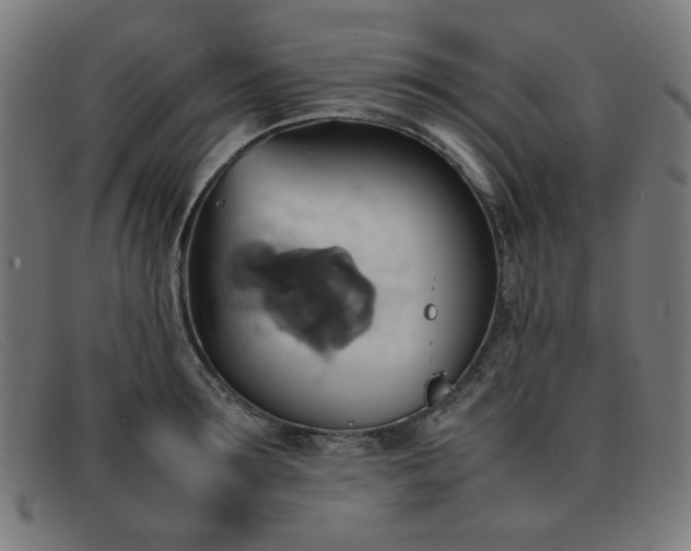 X0000092050899200709121210