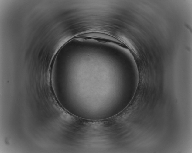 X0000092050900200709121210