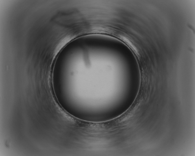 X0000092050901200709121210