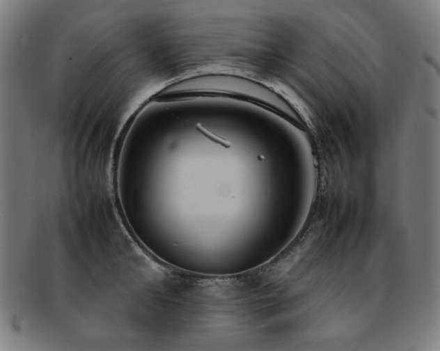 X0000092050902200709121210