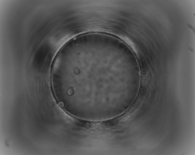 X0000092050903200709121210