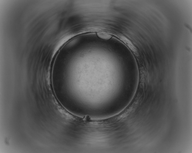 X0000092050904200709121210