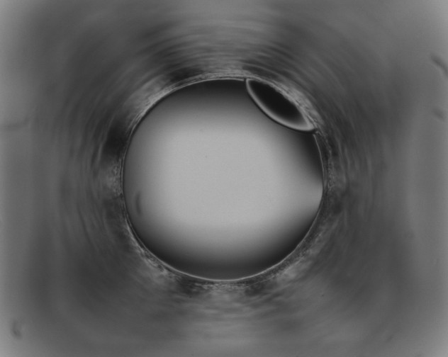 X0000092050905200709121210