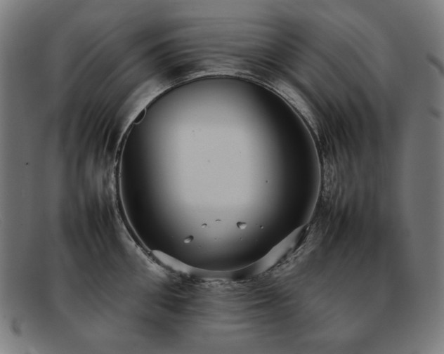 X0000092050906200709121210