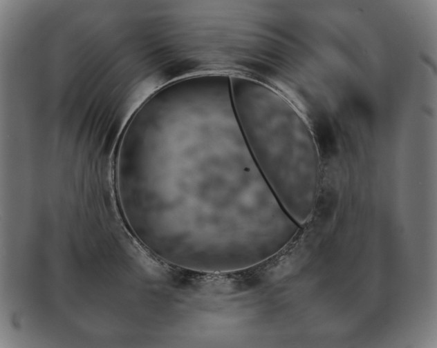 X0000092050907200709121210