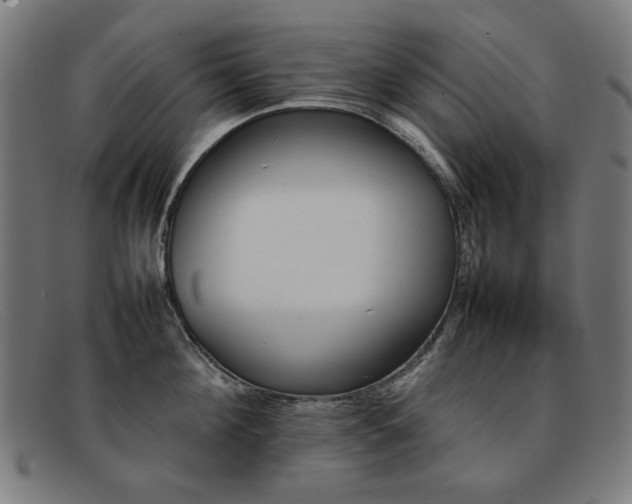 X0000092050908200709121210