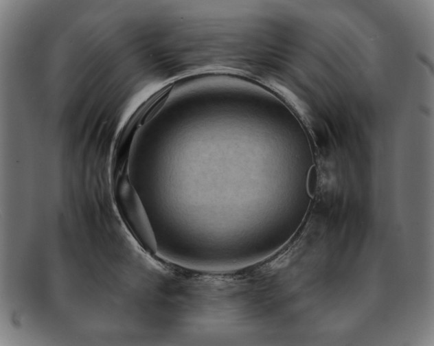 X0000092050910200709121210