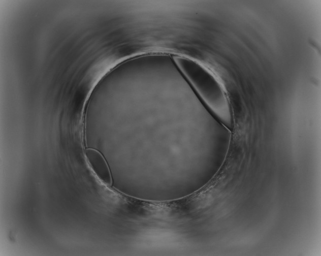 X0000092050911200709121210