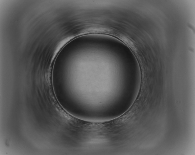 X0000092050912200709121210