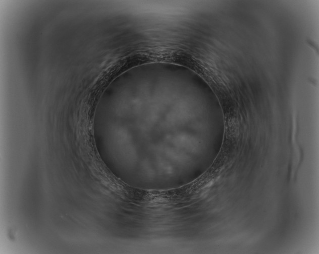 X0000092050913200709121209