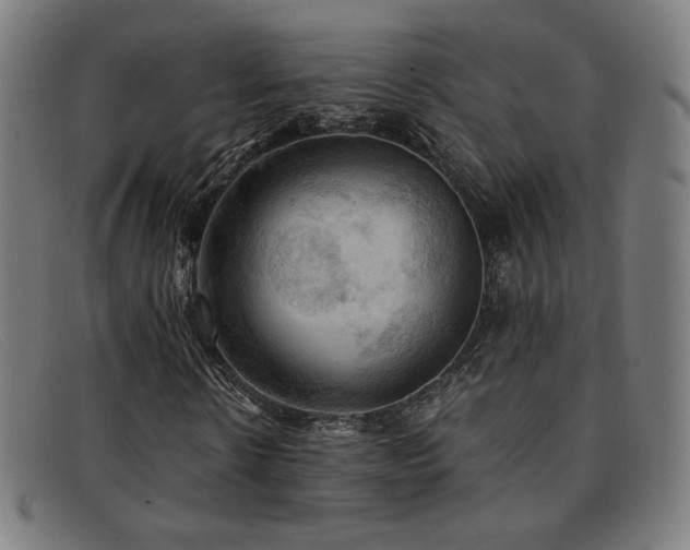 X0000092050914200709121209