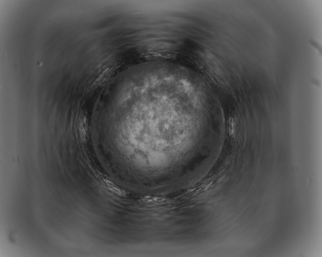 X0000092050915200709121209