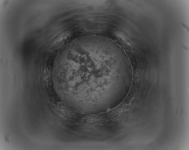 X0000092050917200709121209