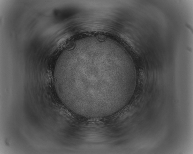 X0000092050918200709121209