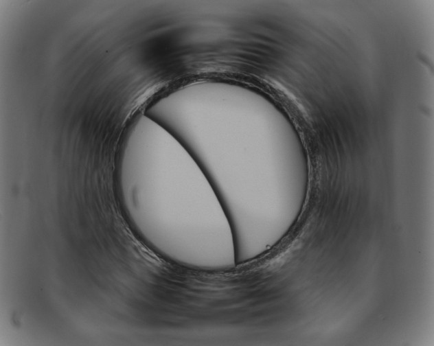 X0000092050921200709121209