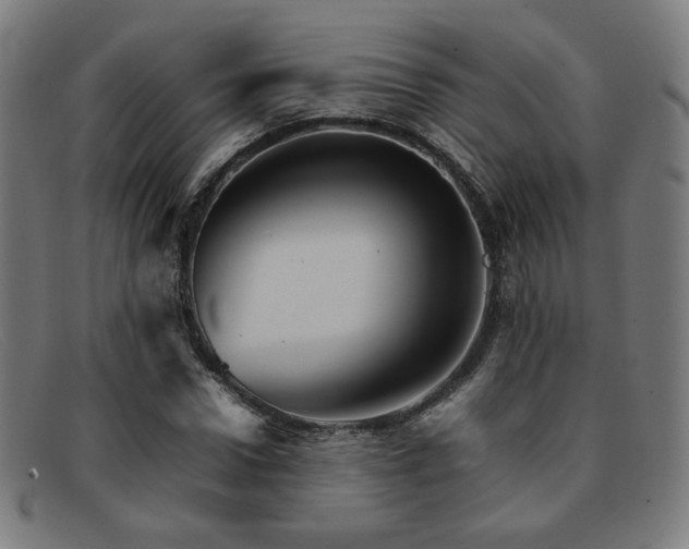 X0000092050922200709121209