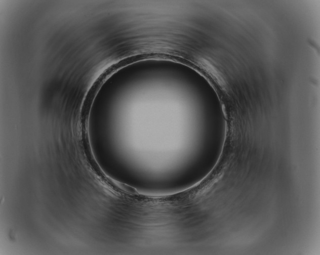 X0000092050924200709121209