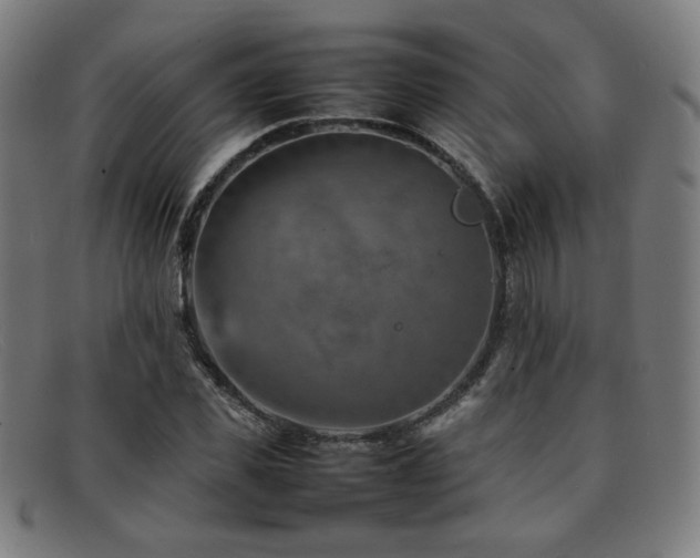 X0000092050925200709121209