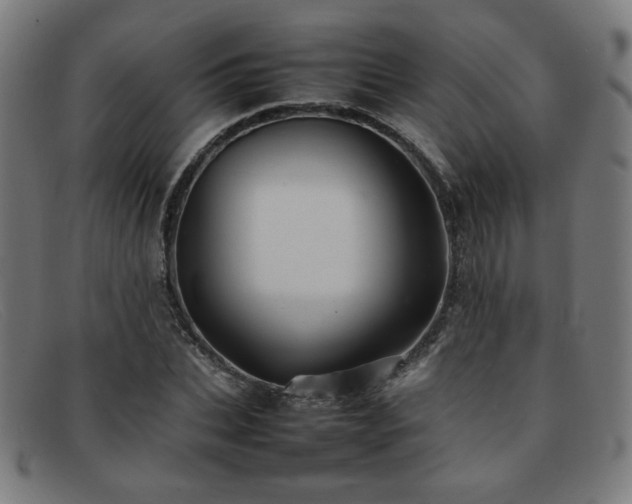 X0000092050927200709121209