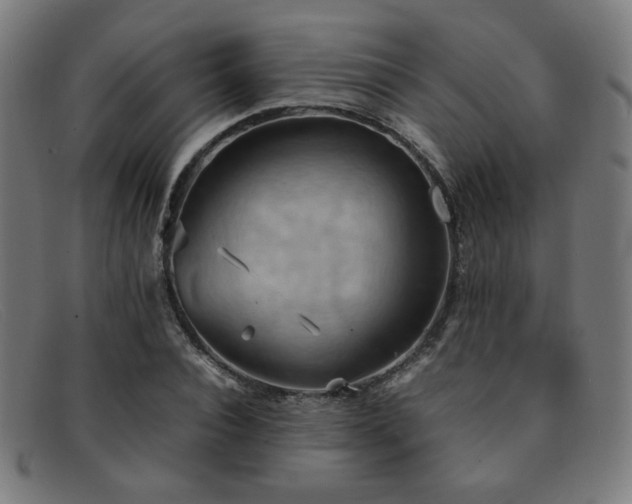 X0000092050928200709121210