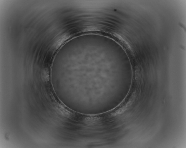 X0000092050929200709121210