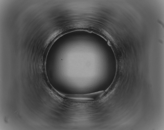 X0000092050930200709121210