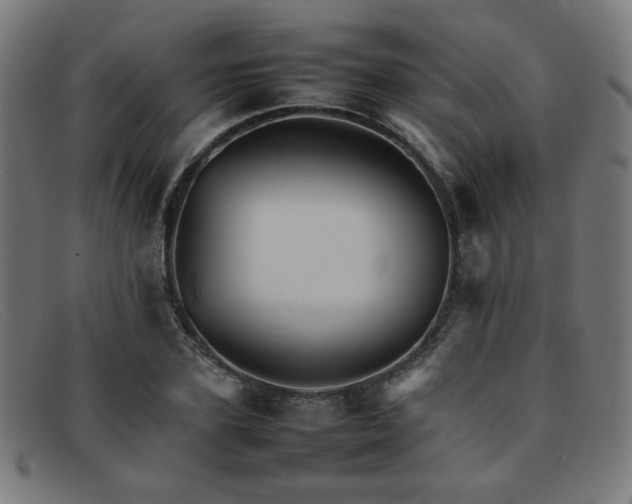 X0000092050931200709121210