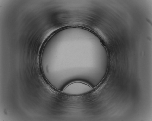 X0000092050932200709121210