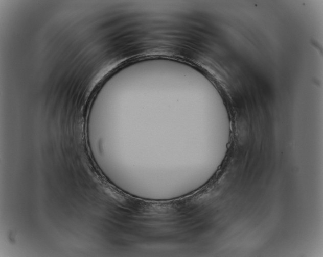 X0000092050933200709121210