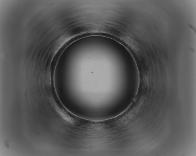 X0000092050934200709121210