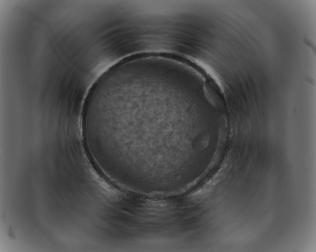 X0000092050935200709121210