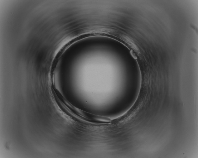 X0000092050936200709121210