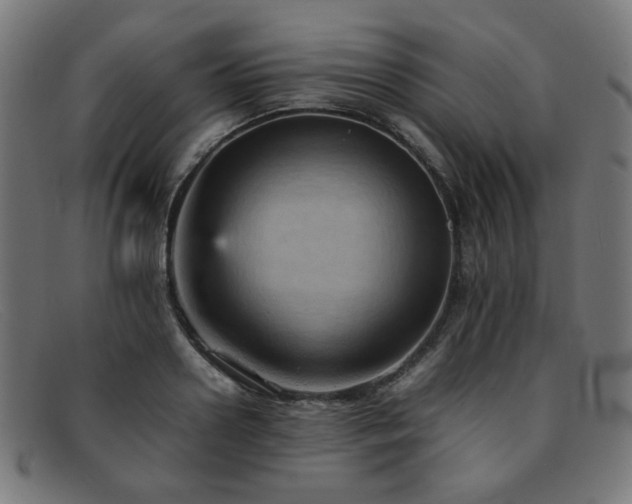 X0000092050938200709121210