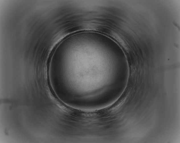 X0000092050939200709121210