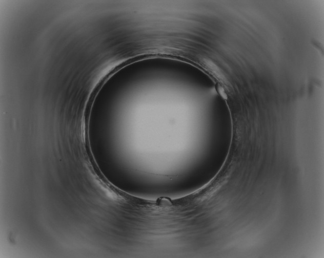 X0000092050940200709121210