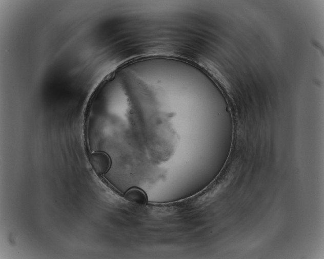 X0000092050941200709121210