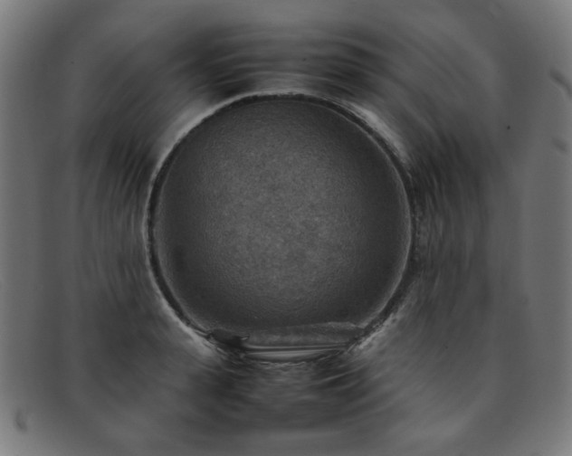 X0000092050943200709121210