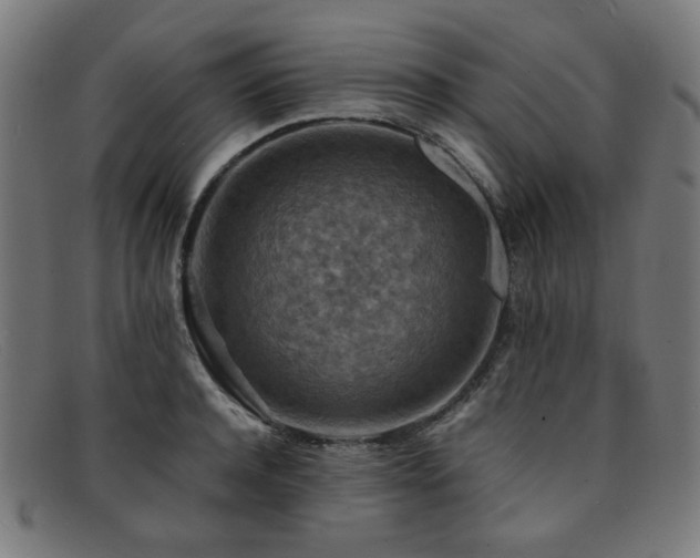 X0000092050944200709121210