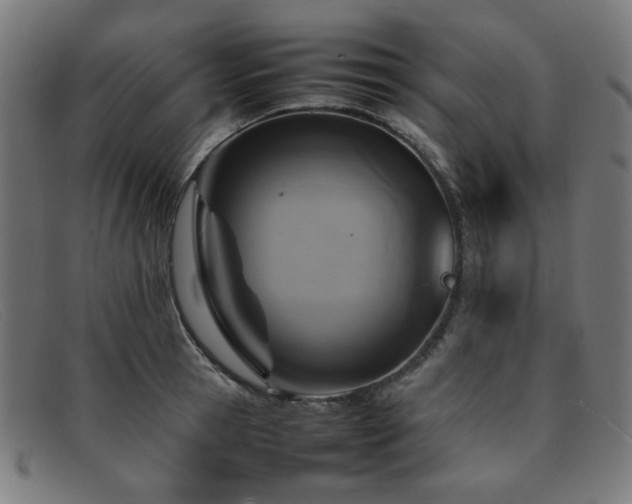 X0000092050945200709121210