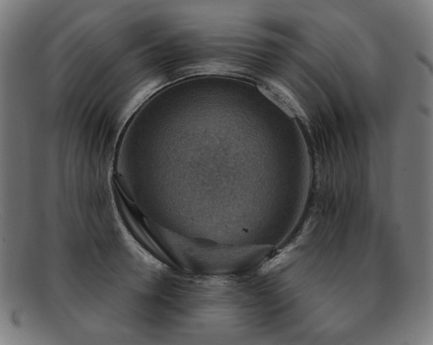 X0000092050946200709121210