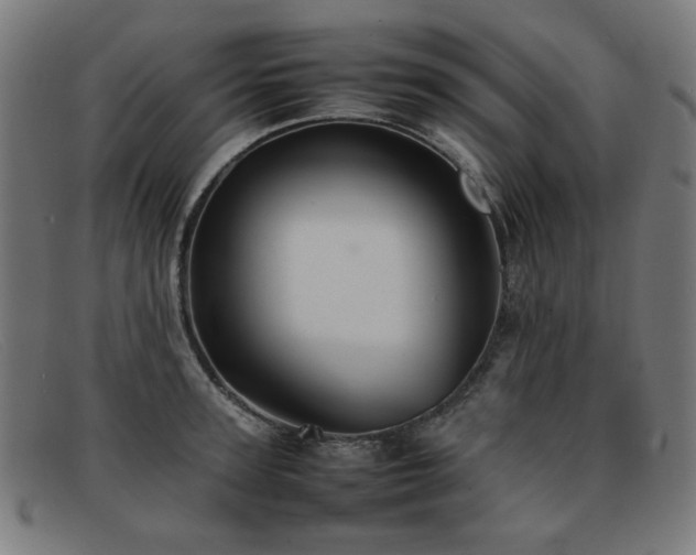 X0000092050947200709121210