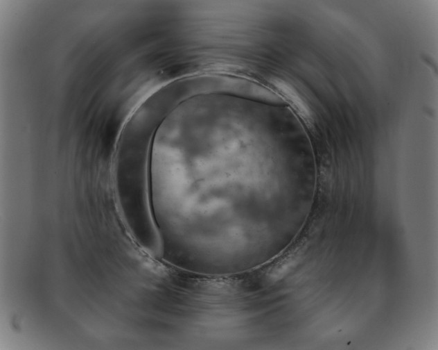 X0000092050948200709121210