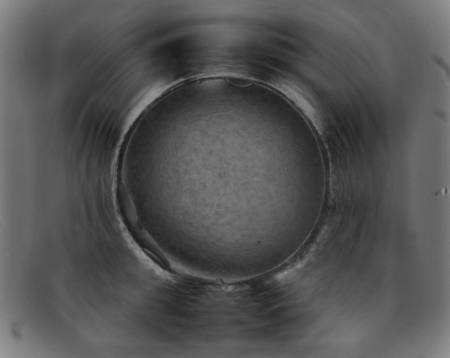 X0000092050949200709121210