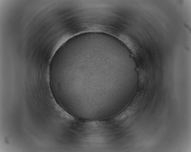 X0000092050950200709121210