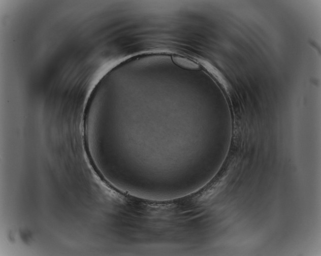 X0000092050951200709121210