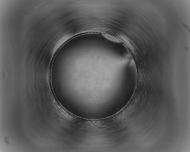 X0000092050952200709121210