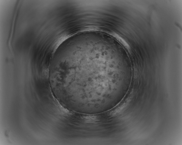 X0000092050953200709121210